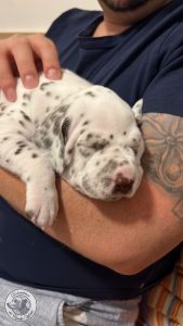 85F3AC82-3717-4A45-A2A2-9C65E61316A4