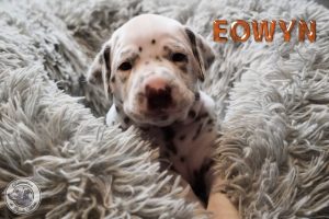 EOWYN_3 Woche