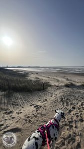 IMG_6359