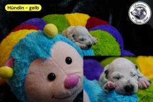 2. Woche