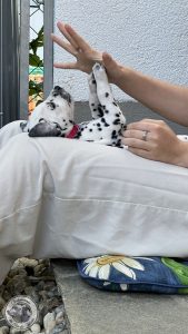 IMG_7497